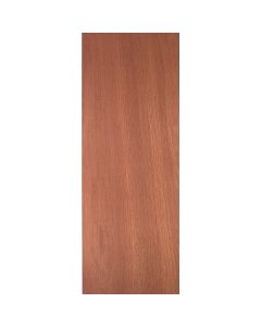 Masonite 24 In. W. x 80 In. H. Lauan Wood Interior Hollow Core Door Slab