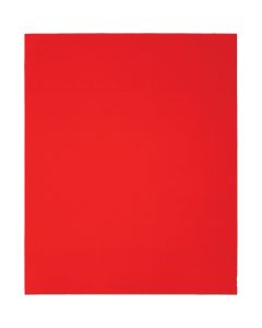 Diablo 9 In. x 11 In. 100-Grit (Medium) Single Sanding Sheet