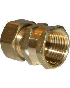 Lasco 5/8 In. C x 1/2 In. FPT Brass Compression Adapter