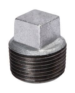 Southland 2 In. Malleable Iron Galvanized Plug