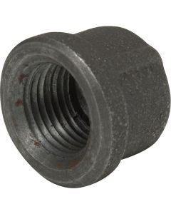 Anvil 1-1/4 In. Malleable Black Iron Cap