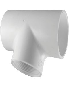 Charlotte Pipe 1-1/4 In. Solvent Weld x FIP Schedule 40 PVC Tee