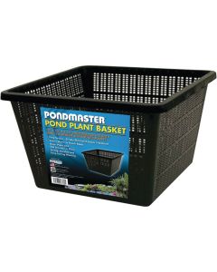 PondMaster 10 In. x 10 In. Black Pond Plantainer