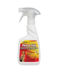 Enforcer 100-Day 16 Oz. Flea & Tick Control Spray For Cats & Dogs