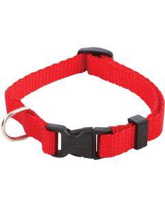 Westminster Pet Ruffin' it Adjustable Pat Collar with Snap Buckle Clasp