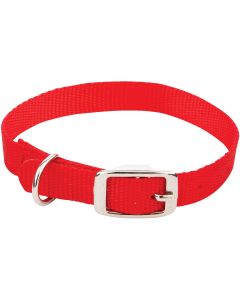 Westminster Pet Ruffin' it Adjustable 16 In. Nylon Dog Collar