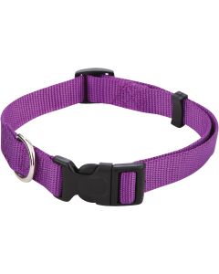 Westminster Pet Ruffin' it Adjustable 14 In. to 20 In. Nylon Dog Collar