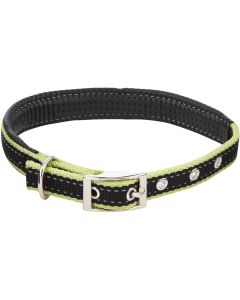 Westminster Pet Ruffin' it ReflecTech 20 In. Nylon Dog Collar