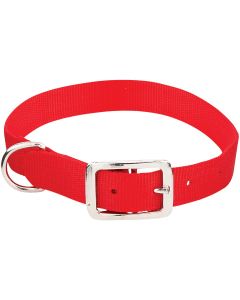 Westminster Pet Ruffin' it Adjustable 22 In. Nylon Dog Collar