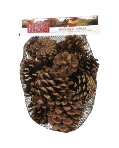 Rooms in Bloom Cinnamon Scented Assorted Pinecones