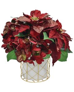 13 In. Regal Red Poinsettia