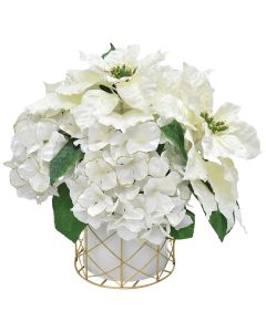 13 In. Winter White Poinsettia