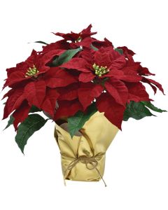 17 In. Regal Red Poinsettia