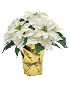 17 In. Winter White Poinsettia