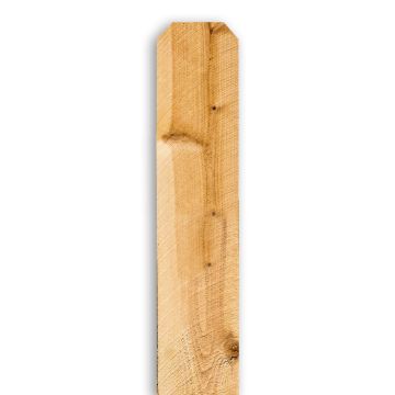1 X 6-6' Dog-eared Fence Board