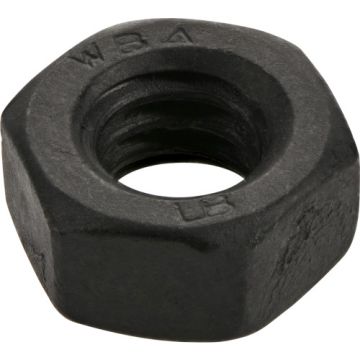 Blk Ext Hx Nut 1/4-20