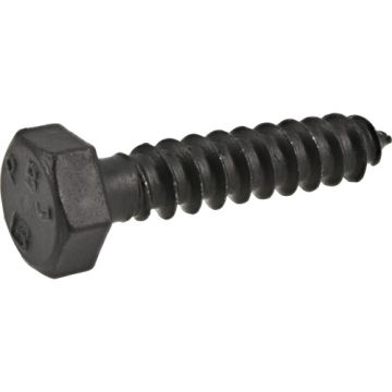 Blk Ext Hx Lag 5/16x1.5