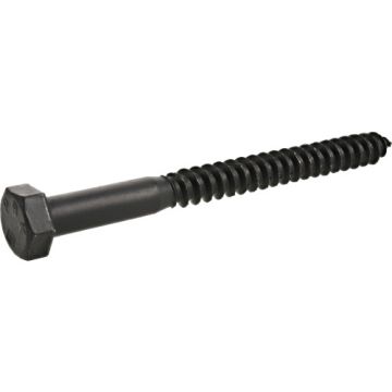 Blk Ext Hx Lag 5/16x3.5