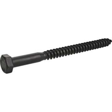 Blk Ext Hex Lag 5/16x4