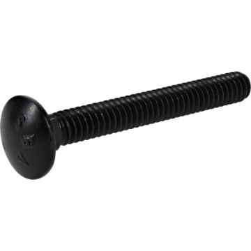 Blk Ext Car Blt 1/4-20x2