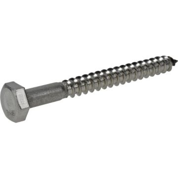 Hex Lag Screw 1/4x2-1/2 Ss