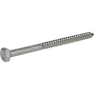 Hex Lag Screw 1/4x4 Ss