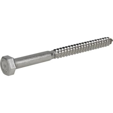 Hex Lag Screw 5/16x4 Ss