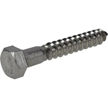 Hex Lag Screw 3/8x2-1/2 Ss