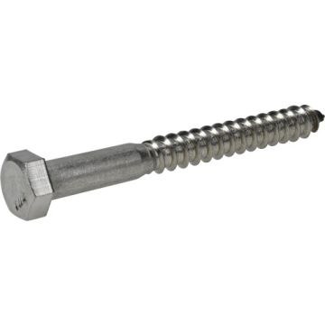 Hex Lag Screw 3/8x3-1/2 Ss
