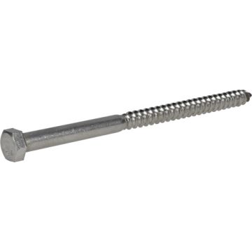 Hex Lag Screw 3/8x6 Ss
