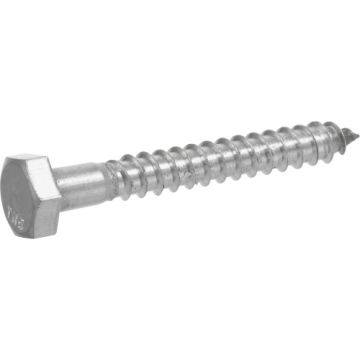 Hex Lag Screw 1/2x2-1/2 Ss