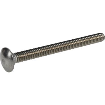 Carriage Bolt 1/4x3 Ss
