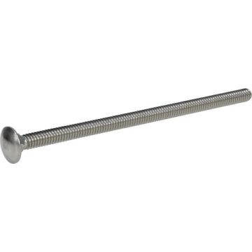 Carriage Bolt 1/4x5 Ss