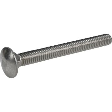 Carriage Bolt 5/16x3 Ss