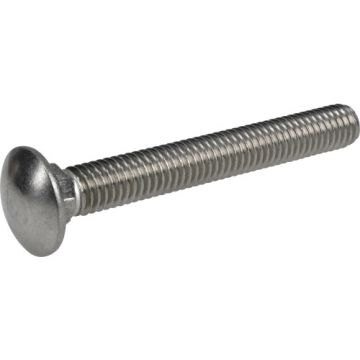 Carriage Bolt 3/8x3 Ss