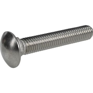 Carriage Bolt 1/2x3 Ss