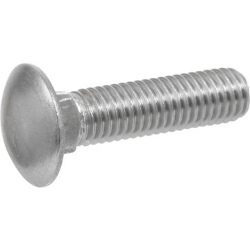 Carriage Bolt 1/2x3-1/2 Ss
