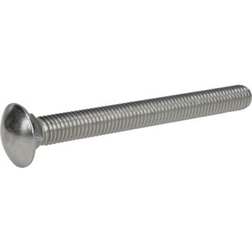 Carriage Bolt 1/2x5 Ss
