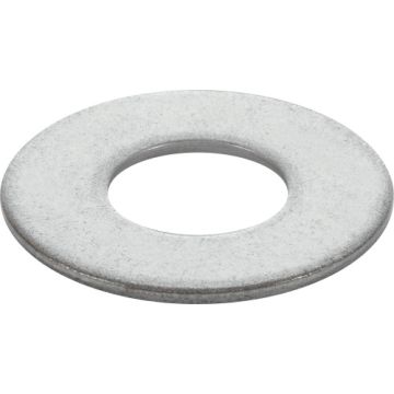 Fp-ss Flat Wash #10