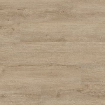 MSI EverLife Cyrus 2.0 Sandino 7 In. x 48 In. Rigid Core Luxury Vinyl Plank (23.77 Sq. Ft./Case)
