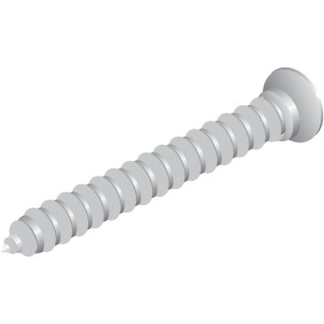 6pk#6 Phillips Head Zinc Screws
