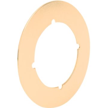 Defender Security Polished Brass Cover Plate