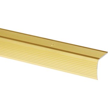 Do it Gold 1-1/8 In. x 6 Ft. Aluminum Stair Edging