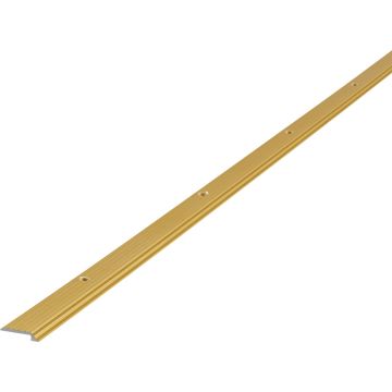 M-D Building Products 36 In. Satin Brass Aluminum Tile Edging with Screw Nails