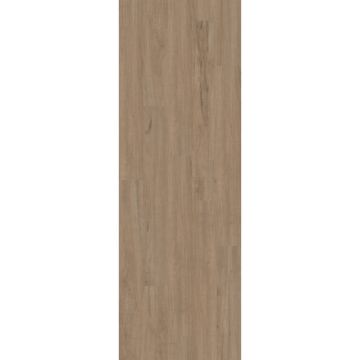 Shaw Floorte Pro Anvil Plus Chatter Oak 7 In. W x 48 In. L Vinyl Rigid Core Floor Plank (27.73 Sq. Ft./Case)