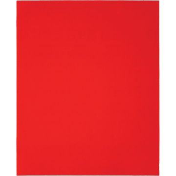 Diablo 9 In. x 11 In. 120-Grit (Medium) Single Sanding Sheet