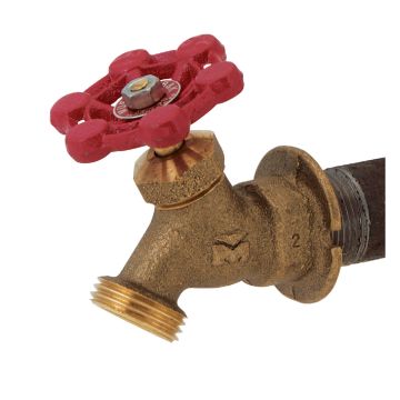 Image of the product