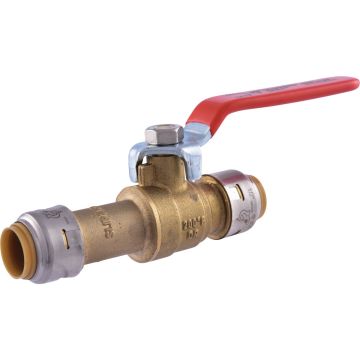 Image of the product