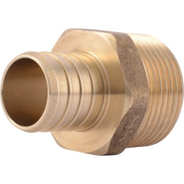 Image of the product