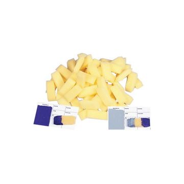 Foampro Applicator
